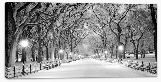 Snowy Central Park panorama