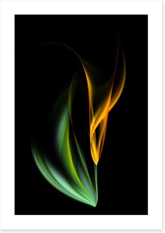 One yellow tulip (Custom)