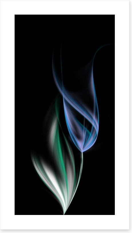 One blue tulip (Custom)
