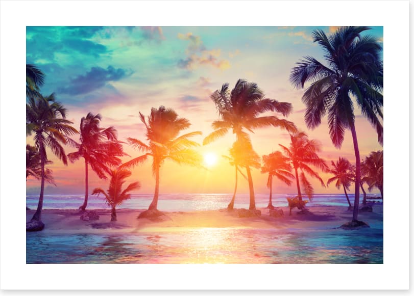 Summer on sunset (Custom)