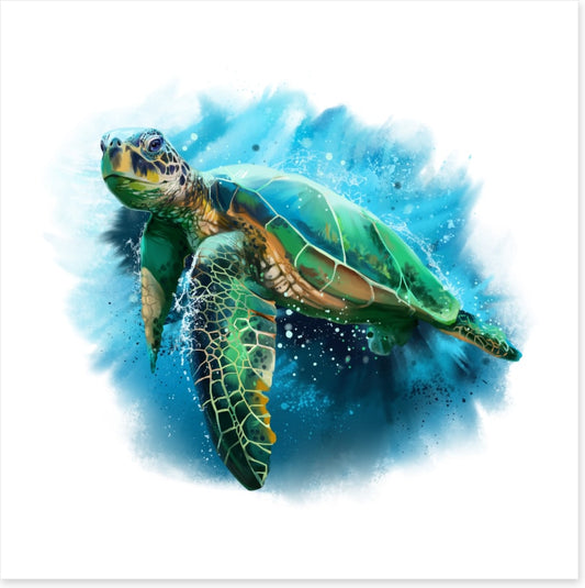 Sea turtle splash (Custom)