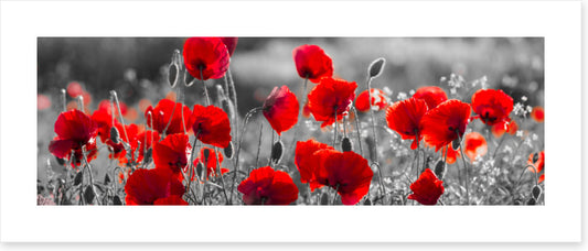 Precious poppies (Custom)