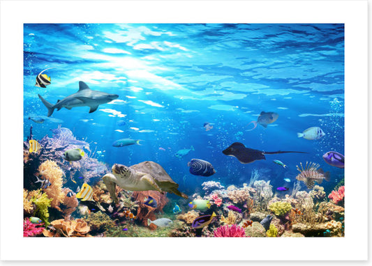 On the reef (Custom)