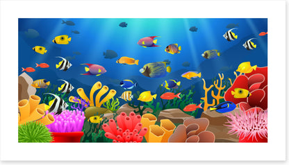 Sunbeams, fish and coral (Custom)