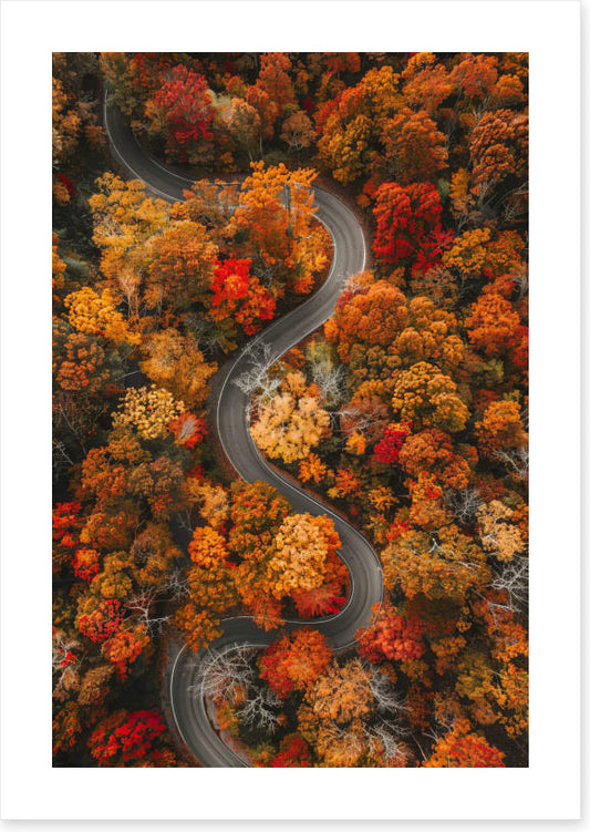 Autumn curves