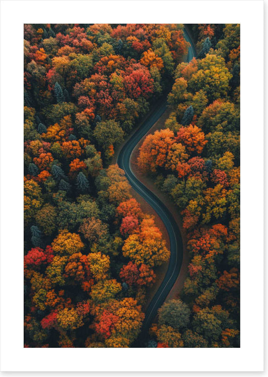 The road to autumn