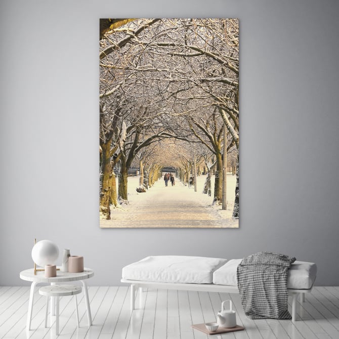 Winter pathway