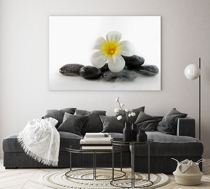 Plumeria on the rocks